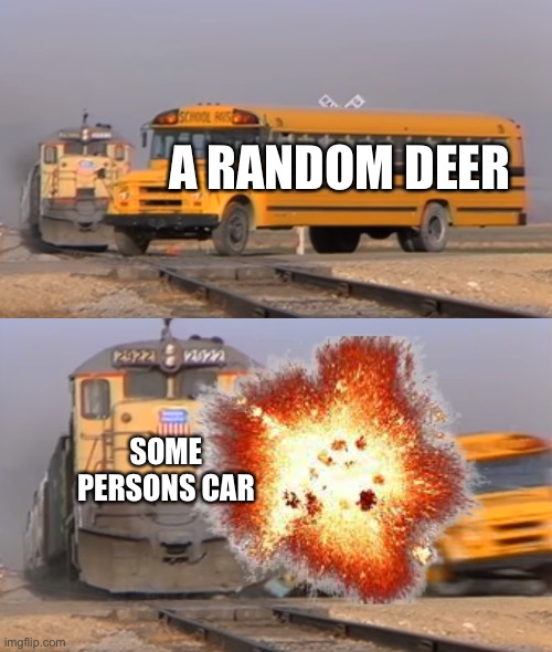 I see more deer dead on the side of the road the alive anywhere else | A RANDOM DEER; SOME PERSONS CAR | image tagged in a train hitting a school bus,deer,memes,dark humor | made w/ Imgflip meme maker