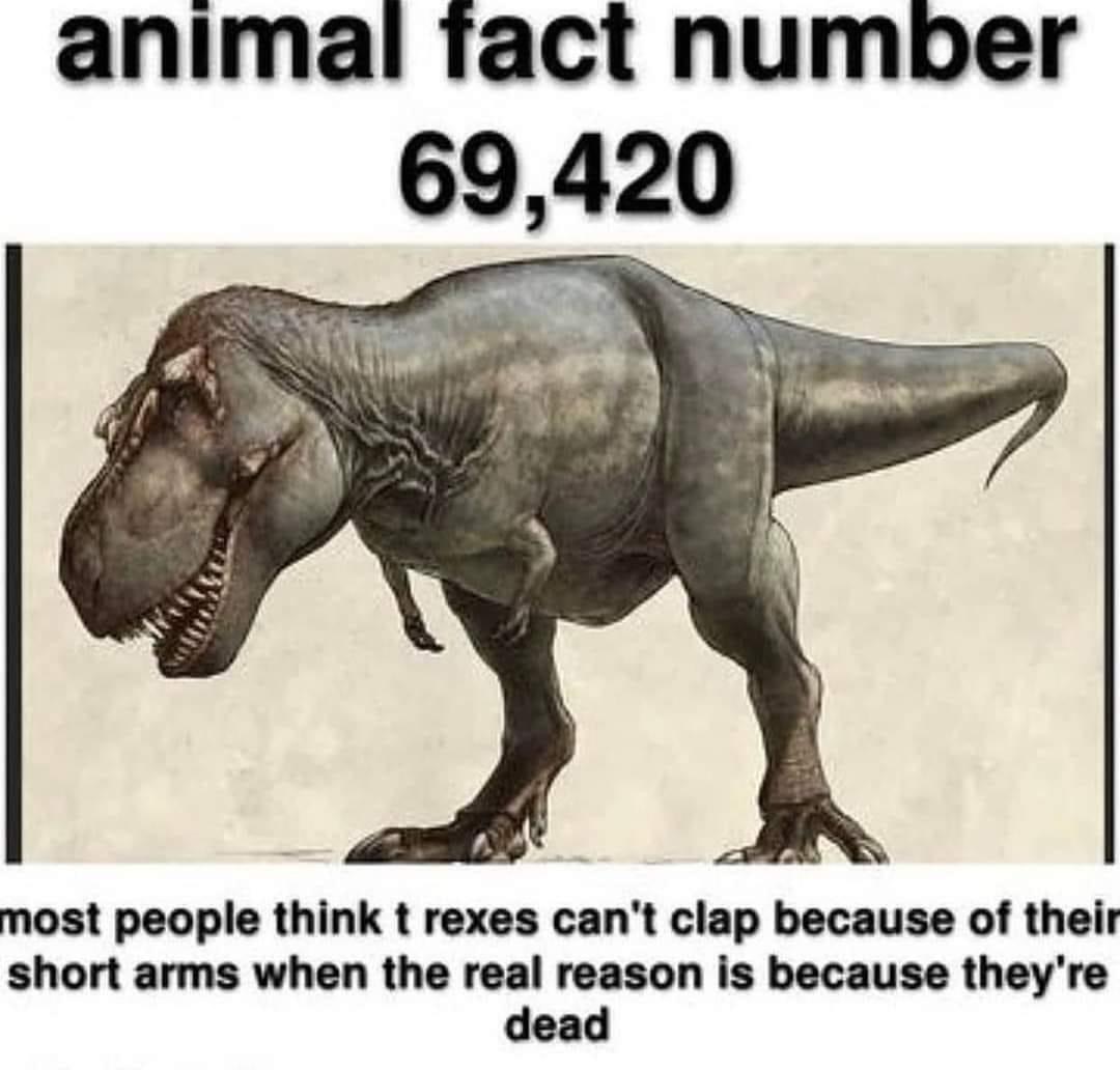 High Quality T-rex fact Blank Meme Template