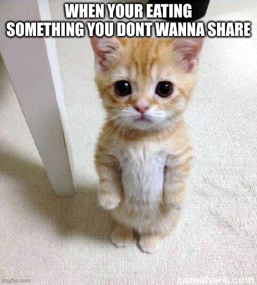Hungry | WHEN YOUR EATING SOMETHING YOU DONT WANNA SHARE | image tagged in memes,cute cat | made w/ Imgflip meme maker