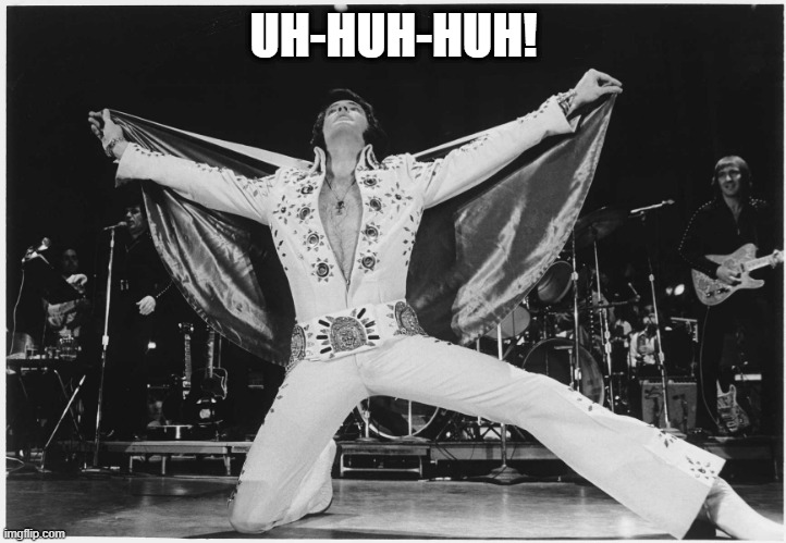 Elvis  | UH-HUH-HUH! | image tagged in elvis | made w/ Imgflip meme maker