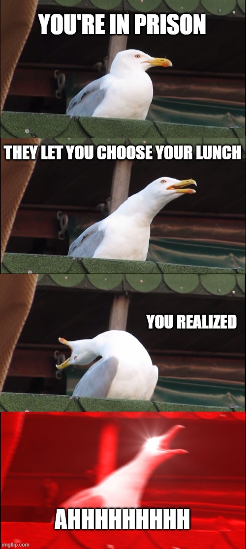 Oh no | YOU'RE IN PRISON; THEY LET YOU CHOOSE YOUR LUNCH; YOU REALIZED; AHHHHHHHHH | image tagged in memes,inhaling seagull | made w/ Imgflip meme maker