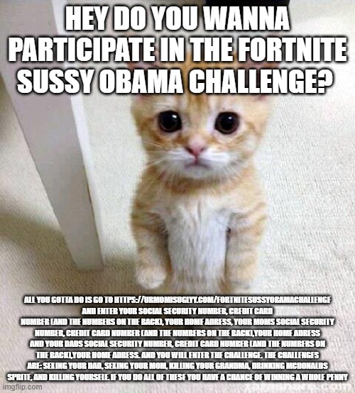 Cute Cat | HEY DO YOU WANNA PARTICIPATE IN THE FORTNITE SUSSY OBAMA CHALLENGE? ALL YOU GOTTA DO IS GO TO HTTPS://URMOMISUGLYY.COM/FORTNITESUSSYOBAMACHALLENGE AND ENTER YOUR SOCIAL SECURITY NUMBER, CREDIT CARD NUMBER (AND THE NUMBERS ON THE BACK), YOUR HOME ADRESS, YOUR MOMS SOCIAL SECURITY NUMBER, CREDIT CARD NUMBER (AND THE NUMBERS ON THE BACK),YOUR HOME ADRESS AND YOUR DADS SOCIAL SECURITY NUMBER, CREDIT CARD NUMBER (AND THE NUMBERS ON THE BACK),YOUR HOME ADRESS. AND YOU WILL ENTER THE CHALLENGE. THE CHALLENGES ARE: SEXING YOUR DAD, SEXING YOUR MOM, KILLING YOUR GRANDMA, DRINKING MCDONALDS SPRITE, AND KILLING YOURSELF. IF YOU DO ALL OF THESE YOU HAVE A CHANCE OF WINNING A WHOLE PENNY | image tagged in memes,cute cat | made w/ Imgflip meme maker