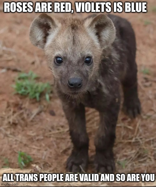 ROSES ARE RED, VIOLETS IS BLUE; ALL TRANS PEOPLE ARE VALID AND SO ARE YOU | made w/ Imgflip meme maker