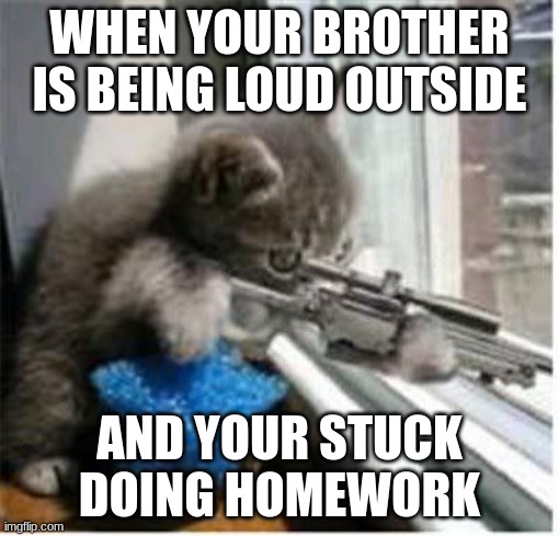 cats with guns | WHEN YOUR BROTHER IS BEING LOUD OUTSIDE; AND YOUR STUCK DOING HOMEWORK | image tagged in cats with guns | made w/ Imgflip meme maker
