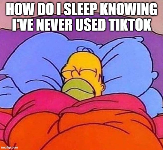 Homer Simpson sleeping peacefully | HOW DO I SLEEP KNOWING I'VE NEVER USED TIKTOK | image tagged in homer simpson sleeping peacefully,tiktok sucks,memes,funny | made w/ Imgflip meme maker