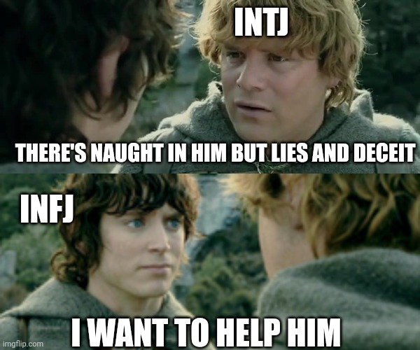 LOTR MBTI | INTJ; THERE'S NAUGHT IN HIM BUT LIES AND DECEIT; INFJ; I WANT TO HELP HIM | image tagged in lotr,lord of the rings,mbti,infj,frodo,myers briggs | made w/ Imgflip meme maker
