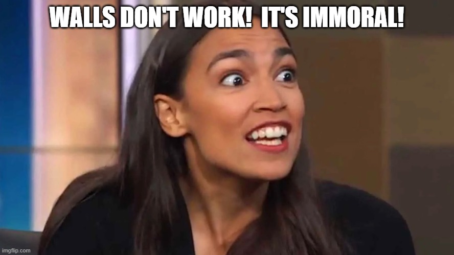 Crazy AOC | WALLS DON'T WORK!  IT'S IMMORAL! | image tagged in crazy aoc | made w/ Imgflip meme maker
