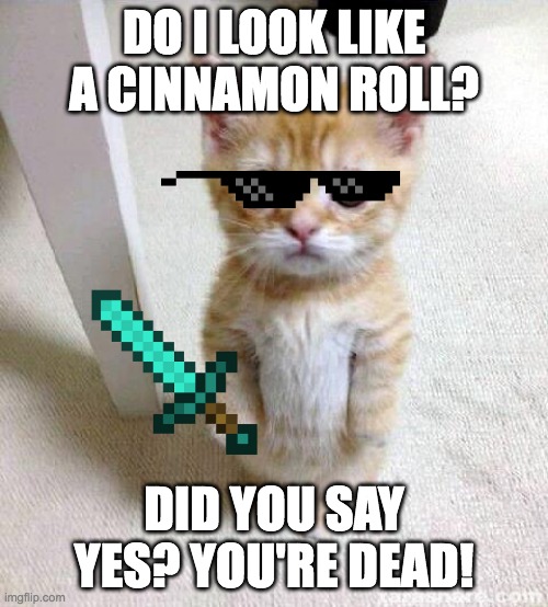 Cute Cat Meme - Imgflip