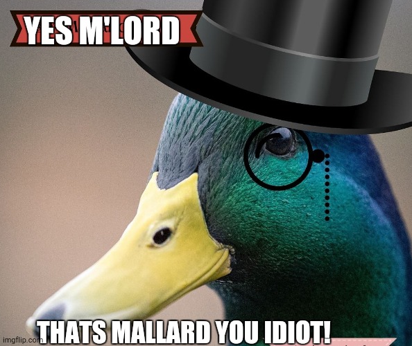 Lord muck.. i mean duck | YES M'LORD; THATS MALLARD YOU IDIOT! | image tagged in count duckula | made w/ Imgflip meme maker