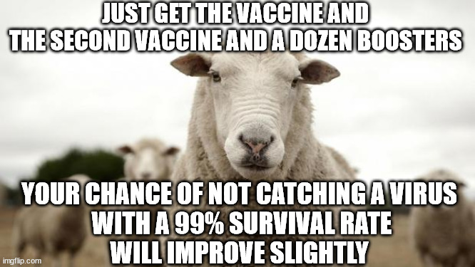 Sheep | JUST GET THE VACCINE AND 
THE SECOND VACCINE AND A DOZEN BOOSTERS YOUR CHANCE OF NOT CATCHING A VIRUS
 WITH A 99% SURVIVAL RATE
 WILL IMPROV | image tagged in sheep | made w/ Imgflip meme maker