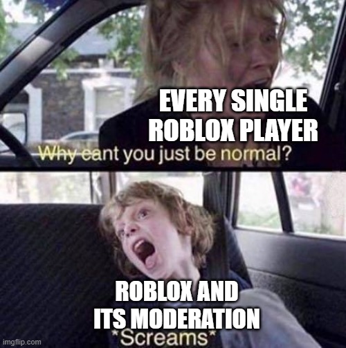 roblox sucks | EVERY SINGLE ROBLOX PLAYER; ROBLOX AND ITS MODERATION | image tagged in why can't you just be normal,roblox,roblox meme,memes | made w/ Imgflip meme maker
