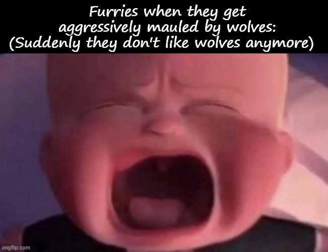 Furries when they get aggressively mauled by wolves:
(Suddenly they don't like wolves anymore) | image tagged in memes,blank transparent square,boss baby crying | made w/ Imgflip meme maker