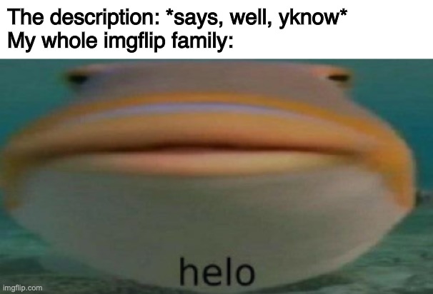 sorry, I can't type the desc | The description: *says, well, yknow*
My whole imgflip family: | image tagged in helo,no i would not want to yknow my family members thank you | made w/ Imgflip meme maker