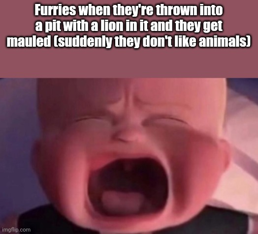 boss baby crying | Furries when they're thrown into a pit with a lion in it and they get mauled (suddenly they don't like animals) | image tagged in boss baby crying | made w/ Imgflip meme maker