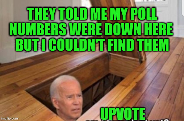THEY TOLD ME MY POLL NUMBERS WERE DOWN HERE 
BUT I COULDN'T FIND THEM | made w/ Imgflip meme maker