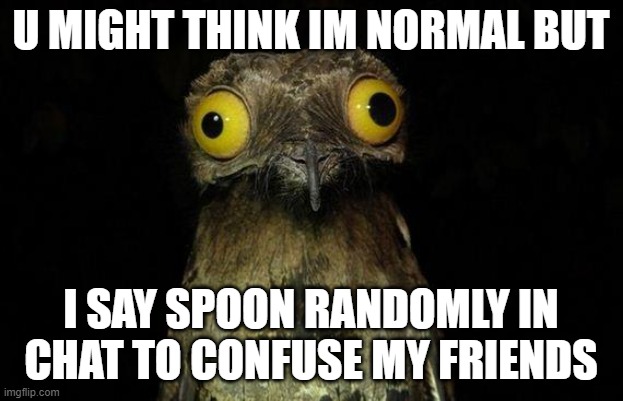 spoon | U MIGHT THINK IM NORMAL BUT; I SAY SPOON RANDOMLY IN CHAT TO CONFUSE MY FRIENDS | image tagged in memes,weird stuff i do potoo | made w/ Imgflip meme maker