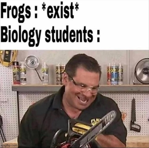 c’mere frog | image tagged in memes,funny,frog | made w/ Imgflip meme maker