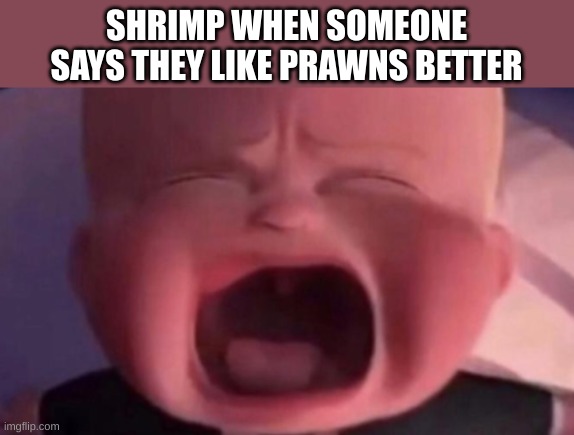 boss baby crying | SHRIMP WHEN SOMEONE SAYS THEY LIKE PRAWNS BETTER | image tagged in boss baby crying | made w/ Imgflip meme maker