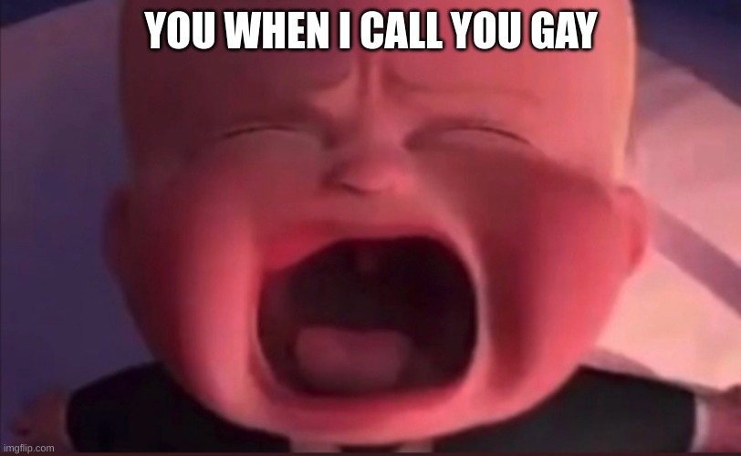 Boss Baby Scream | YOU WHEN I CALL YOU GAY | image tagged in boss baby scream | made w/ Imgflip meme maker