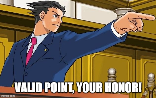 Ace attorney 17th admendment | VALID POINT, YOUR HONOR! | image tagged in ace attorney 17th admendment | made w/ Imgflip meme maker