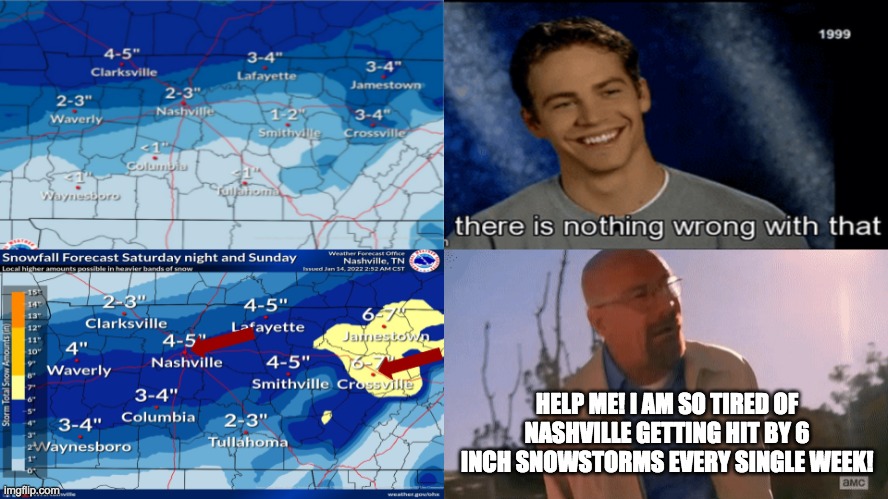 Nashville Snowstorm | HELP ME! I AM SO TIRED OF NASHVILLE GETTING HIT BY 6 INCH SNOWSTORMS EVERY SINGLE WEEK! | image tagged in snow,nashville,tennessee,snowflakes,snow storm,walter white | made w/ Imgflip meme maker