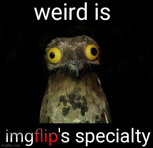 Weird Stuff I Do Potoo Meme | weird is 's specialty | image tagged in memes,weird stuff i do potoo | made w/ Imgflip meme maker