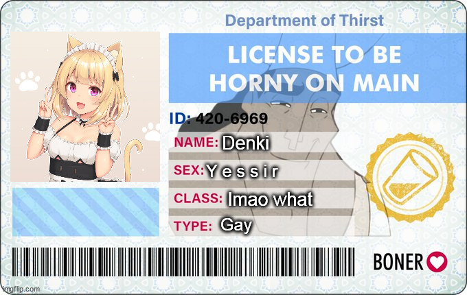 License To Be Horny On Main | Denki; Y e s s i r; lmao what; Gay | image tagged in license to be horny on main | made w/ Imgflip meme maker