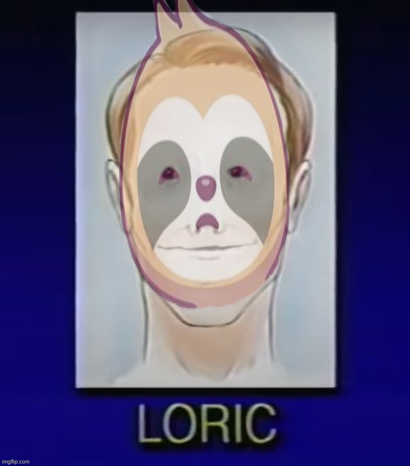 Sloth Loric | image tagged in sloth loric | made w/ Imgflip meme maker