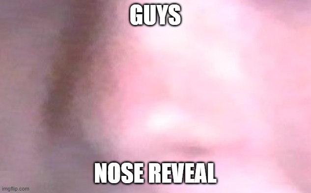 GUYS; NOSE REVEAL | made w/ Imgflip meme maker