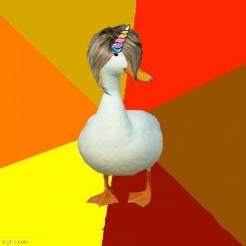 karen is a uniduck | image tagged in memes,karens,karen the manager will see you now,unicorn | made w/ Imgflip meme maker