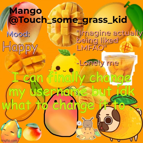 Mango's temp bc bored | Happy; I can finally change my username but idk what to change it to .-. | image tagged in mango's temp bc bored | made w/ Imgflip meme maker