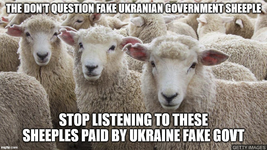 When the US Media roots for War with Russia. Who is the sheeple. | image tagged in ukraine,world war 3,russia,united states,nato,european union | made w/ Imgflip meme maker