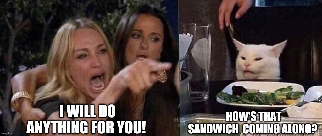 woman yelling at cat | I WILL DO ANYTHING FOR YOU! HOW'S THAT SANDWICH  COMING ALONG? | image tagged in woman yelling at cat | made w/ Imgflip meme maker