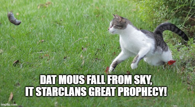 Warrior cat meme | DAT MOUS FALL FROM SKY, IT STARCLANS GREAT PROPHECY! | image tagged in warrior cat meme,warrior cats,prophecy | made w/ Imgflip meme maker