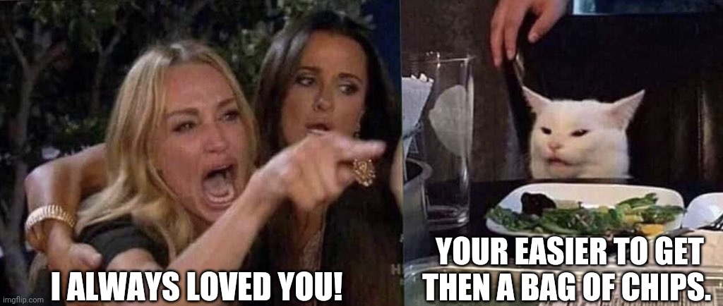 woman yelling at cat | I ALWAYS LOVED YOU! YOUR EASIER TO GET THEN A BAG OF CHIPS. | image tagged in woman yelling at cat | made w/ Imgflip meme maker