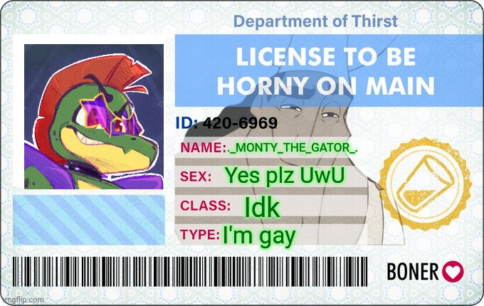 I'm also a furry but that's off topic | ._MONTY_THE_GATOR_. Yes plz UwU; Idk; I'm gay | image tagged in license to be horny on main | made w/ Imgflip meme maker
