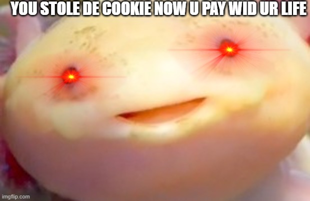 Axolotl has been desturbed | YOU STOLE DE COOKIE NOW U PAY WID UR LIFE | image tagged in axolotl has been desturbed | made w/ Imgflip meme maker