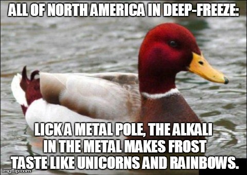 Malicious Advice Mallard | ALL OF NORTH AMERICA IN DEEP-FREEZE: LICK A METAL POLE, THE ALKALI IN THE METAL MAKES FROST TASTE LIKE UNICORNS AND RAINBOWS. | image tagged in memes,malicious advice mallard,AdviceAnimals | made w/ Imgflip meme maker