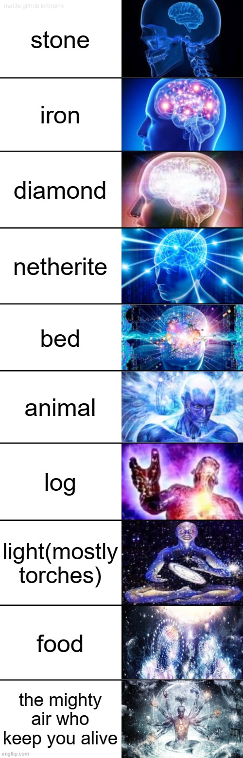 10 Most useful things in Minecraft | stone; iron; diamond; netherite; bed; animal; log; light(mostly torches); food; the mighty air who keep you alive | image tagged in 10-tier expanding brain | made w/ Imgflip meme maker