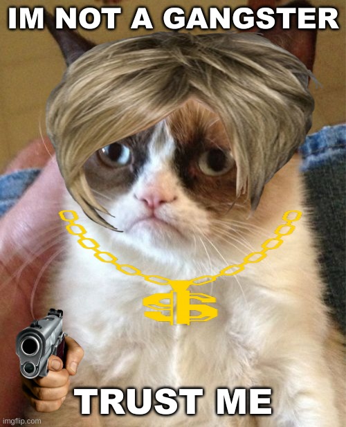 I'm so not a gangster | IM NOT A GANGSTER; TRUST ME | image tagged in memes,grumpy cat | made w/ Imgflip meme maker