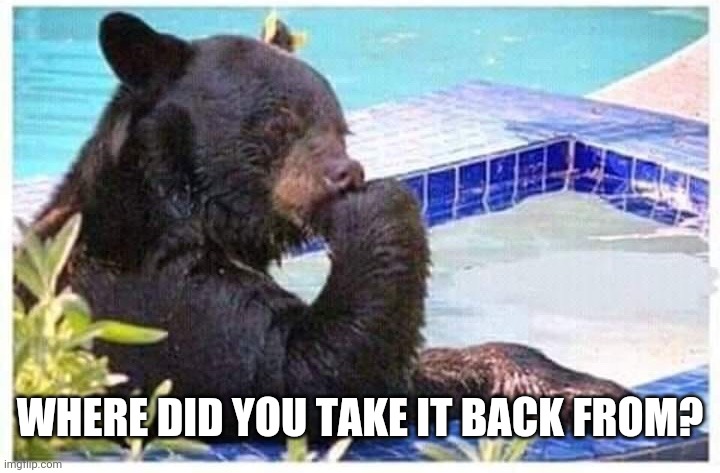 Thinking bear | WHERE DID YOU TAKE IT BACK FROM? | image tagged in thinking bear | made w/ Imgflip meme maker