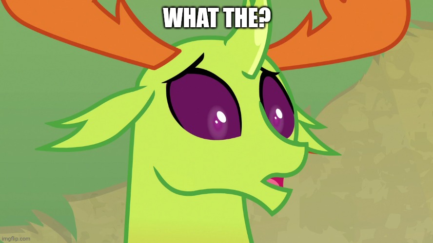Confused Thorax (MLP) | WHAT THE? | image tagged in confused thorax mlp | made w/ Imgflip meme maker