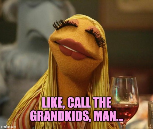 Janice from The Muppets | LIKE, CALL THE GRANDKIDS, MAN... | image tagged in janice from the muppets | made w/ Imgflip meme maker
