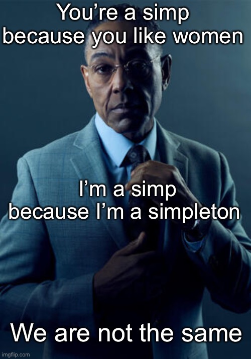 Notice the word ‘simpleton’ has ‘simp’ in it? | You’re a simp because you like women; I’m a simp because I’m a simpleton; We are not the same | image tagged in no we are not the same | made w/ Imgflip meme maker