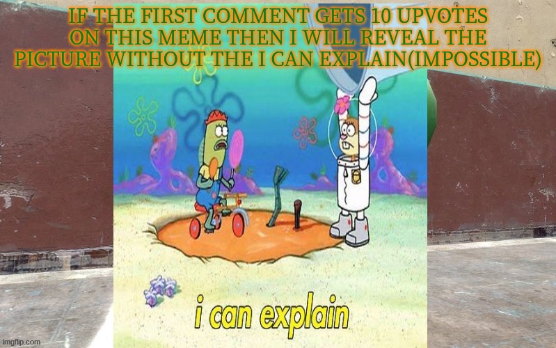 IF THE FIRST COMMENT GETS 10 UPVOTES ON THIS MEME THEN I WILL REVEAL THE PICTURE WITHOUT THE I CAN EXPLAIN(IMPOSSIBLE) | made w/ Imgflip meme maker