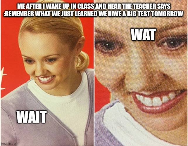 WAIT WHAT? | ME AFTER I WAKE UP IN CLASS AND HEAR THE TEACHER SAYS :REMEMBER WHAT WE JUST LEARNED WE HAVE A BIG TEST TOMORROW; WAT; WAIT | image tagged in wait what | made w/ Imgflip meme maker