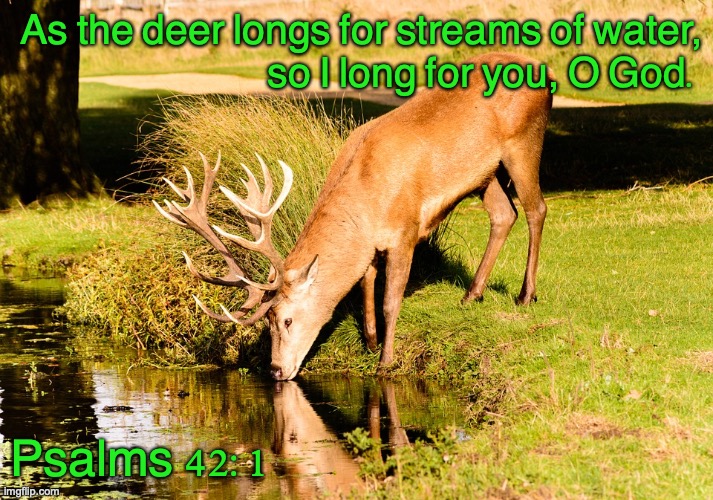 The Living God | As the deer longs for streams of water,
so I long for you, O God. Psalms 42:1 | image tagged in sing for joy | made w/ Imgflip meme maker