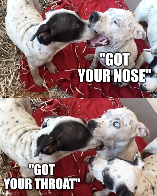 GONNA MAKE HIM PUKE | "GOT YOUR NOSE"; "GOT YOUR THROAT" | image tagged in dogs,funny dogs | made w/ Imgflip meme maker
