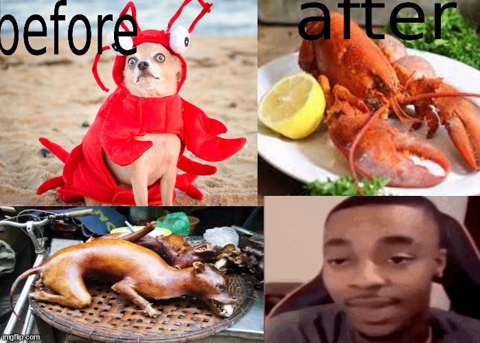 yummy crab- wait thats a dog? | image tagged in crab,dog,memes | made w/ Imgflip meme maker