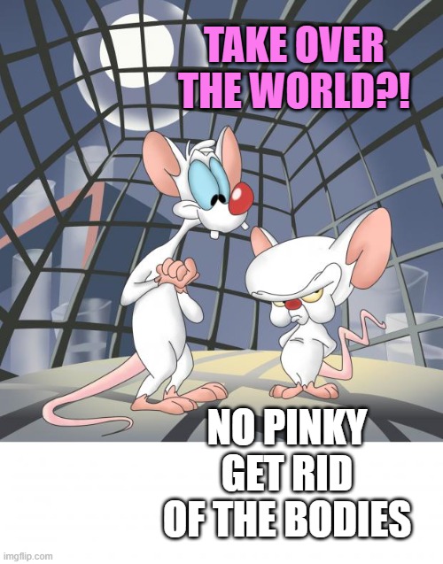 Pinky and the brain | TAKE OVER THE WORLD?! NO PINKY GET RID OF THE BODIES | image tagged in pinky and the brain | made w/ Imgflip meme maker